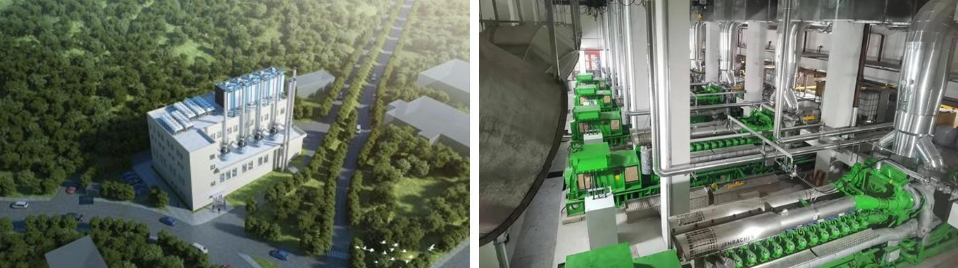 Chongqing State Grid longevity distributed project(图1)